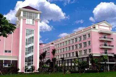 专科学校的主要专业概览，探索职业教育的多元领域与深度发展之路。