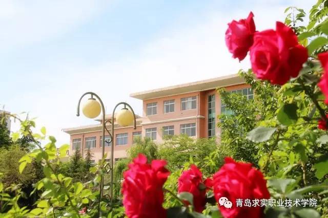 青岛求实职业技术学院深度解析