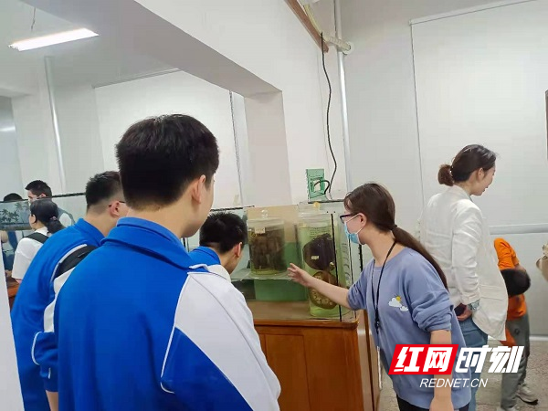 兽医学校，培养动物健康守护者的摇篮