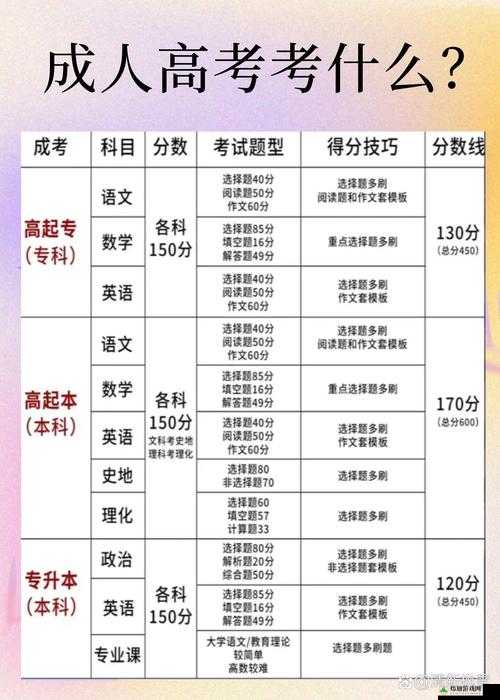 高考有几科，全面解析考试科目与内容
