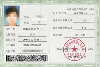 古筝考级证书的选择与价值评估