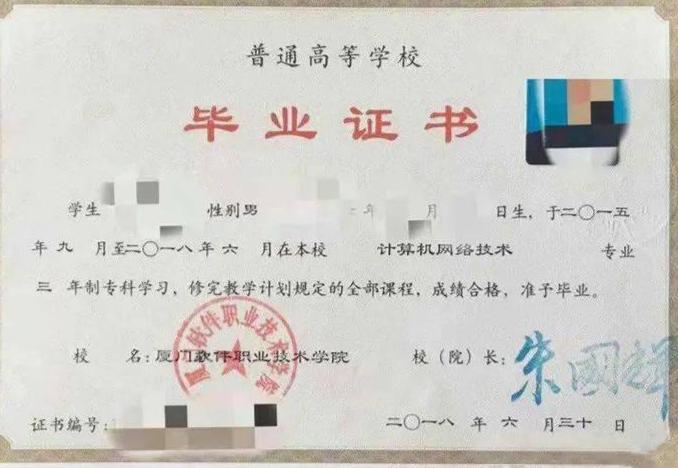 大专什么意思——深入解析大专学历及其重要性