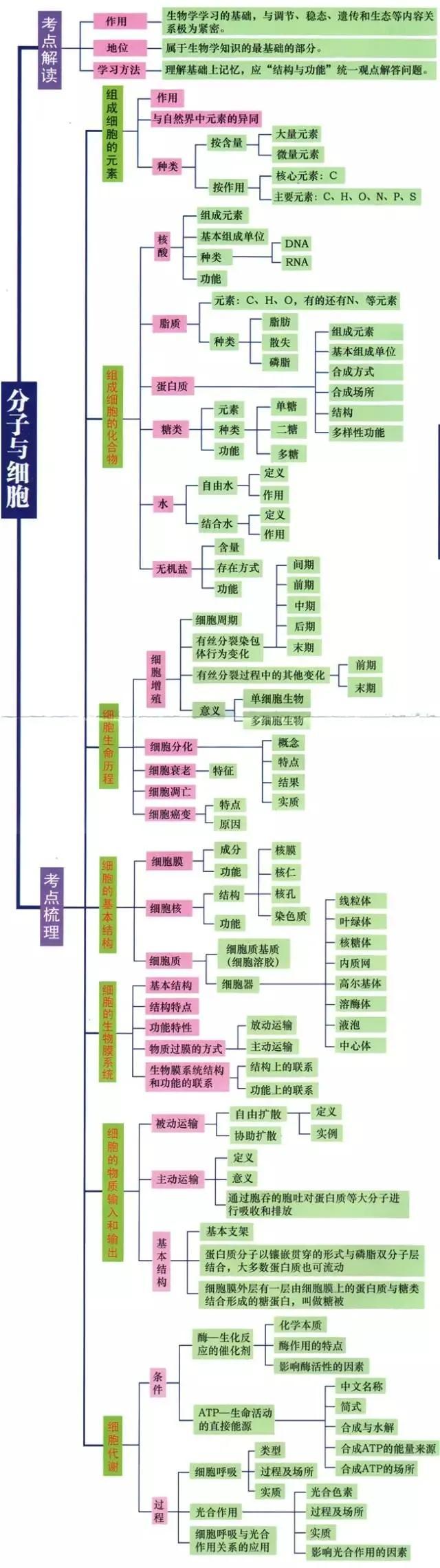 如何学好高中生物，方法与策略