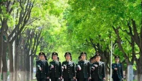 军校非指挥类专业，培养专业技能精英的摇篮