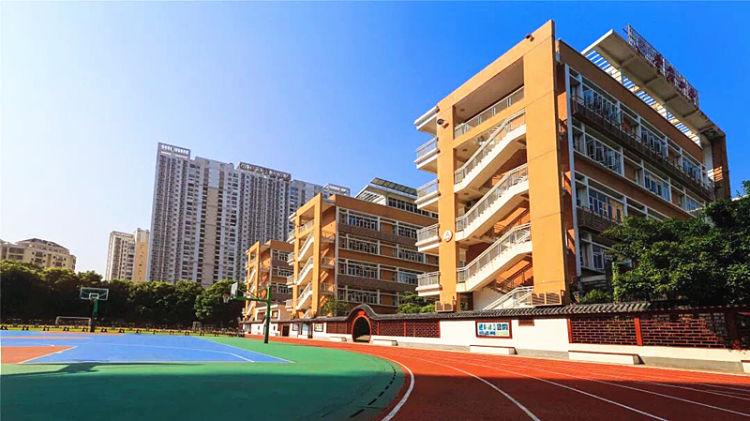 深圳技术大学的魅力与实力，一所卓越的技术学府