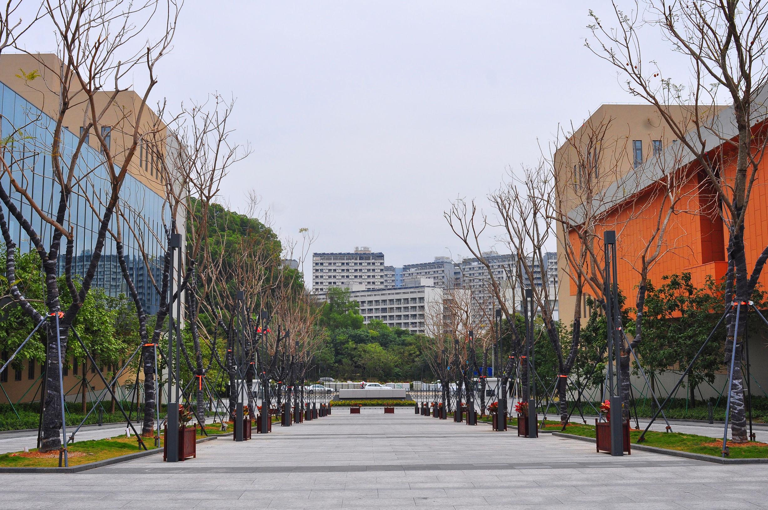 深圳技术大学排名及其在全国高校中的地位