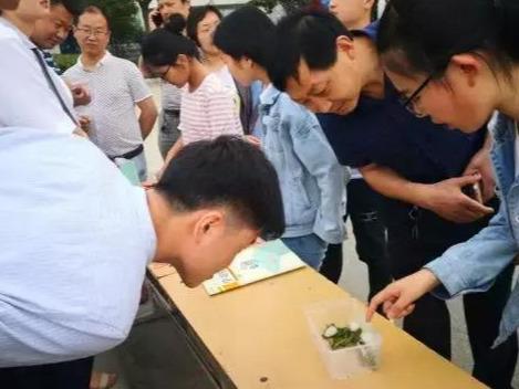 女孩学啥专业好，多元领域任你飞翔