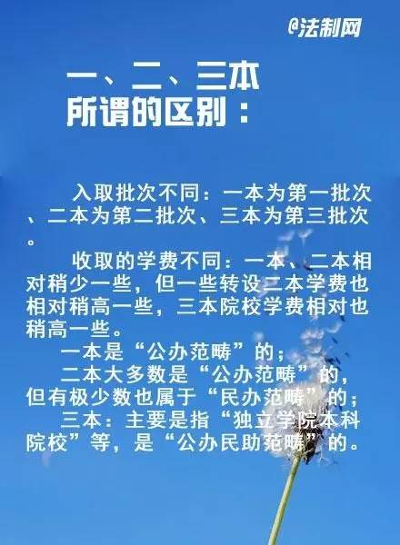 一本二本，教育的阶梯与人生的航标
