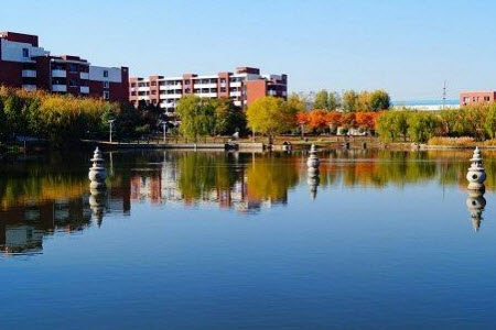 山东科技大学，一本还是二本？探寻其教育实力的多维视角