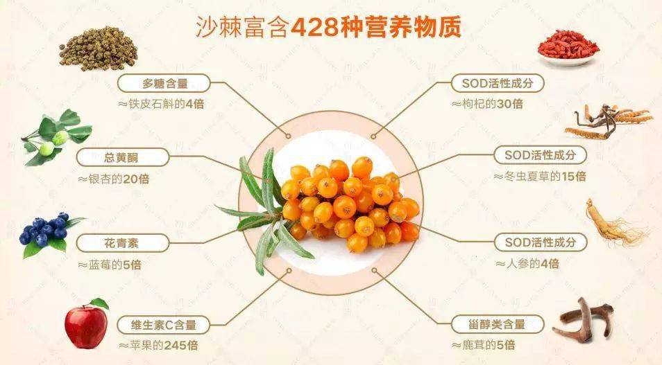 学校简介 第106页