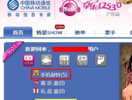 冰映月 第75页