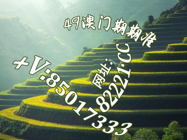 红姐统一印刷图库118{