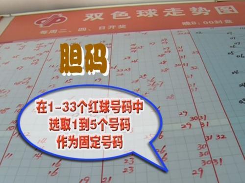 特准八码免费下载{