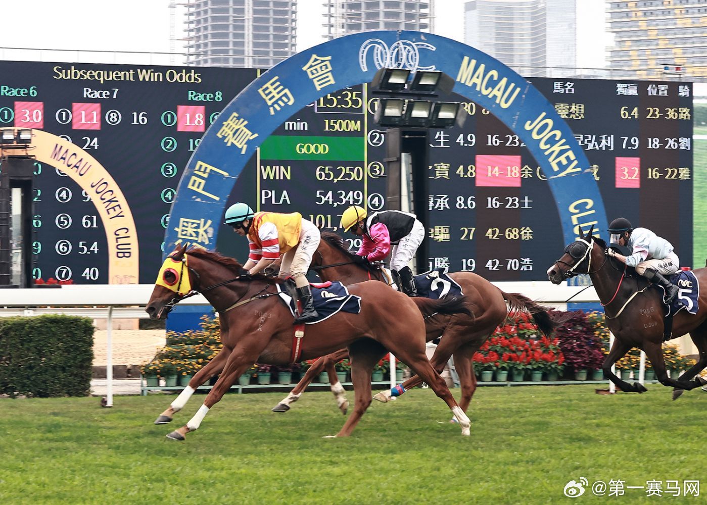 2019年马会免费大全{