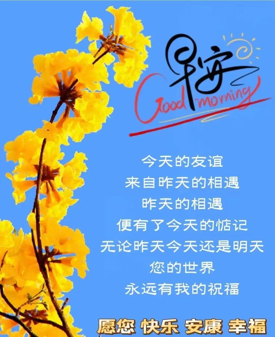 蓝月亮精选免费精料天天好{