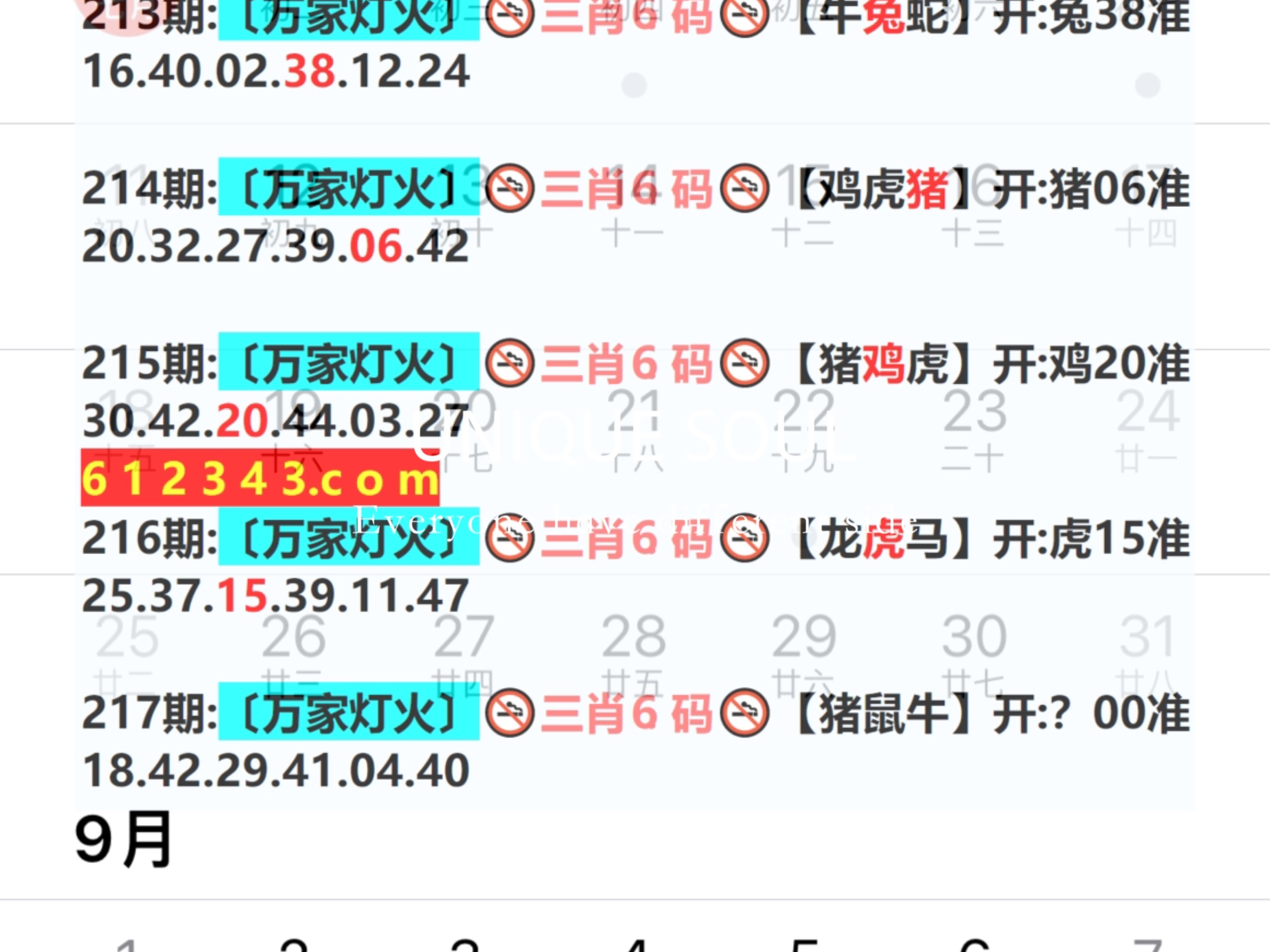 蓝月亮四肖八码精选资料的功能{
