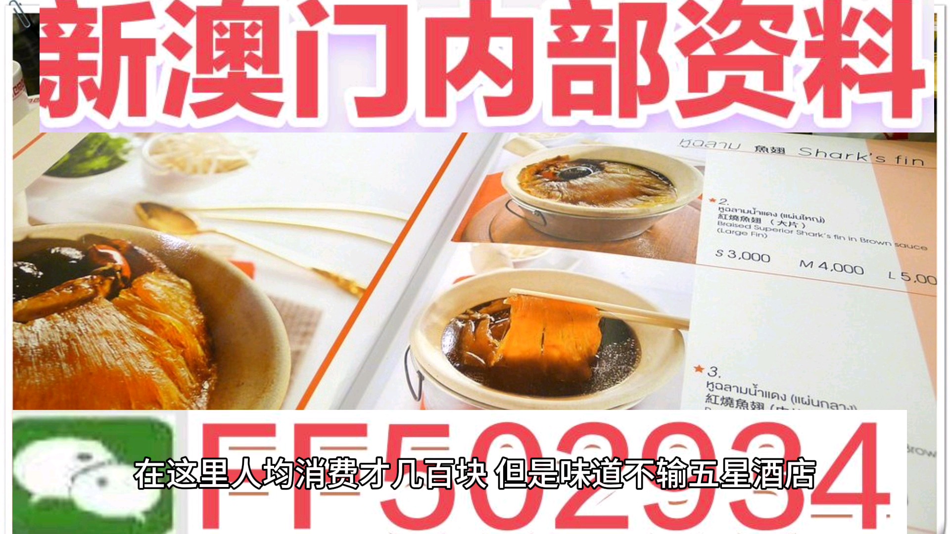 今期新澳门开奖结果记录新澳2024{