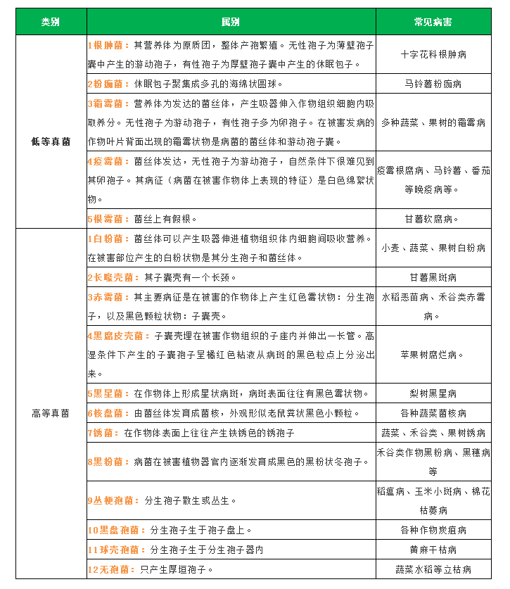 快8选十中奖金额查询表格详解快8选10彩票中奖规则{