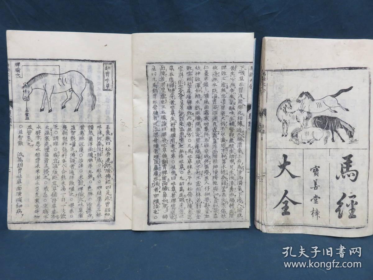 马经图库大全，探索马的奥秘与魅力马经图库大全下载{