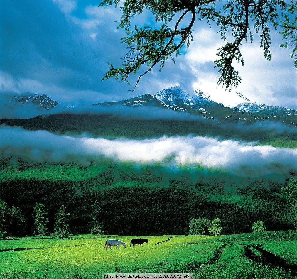 图库大全风景，自然之美的尽收眼底图库大全风景图片{