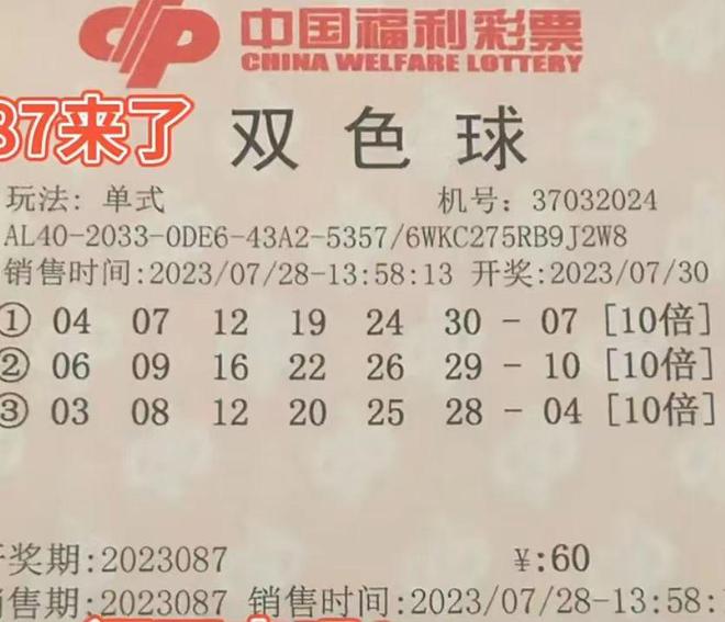 林哥双彩定胆的独特魅力与奥秘林哥定胆双色球{