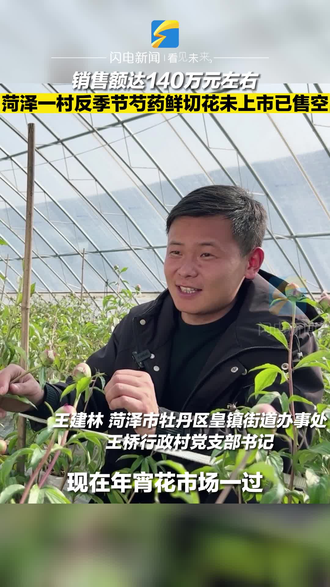 篮彩比分直播球探网，实时掌握赛事动态，体验篮球魅力篮球比分球探网{