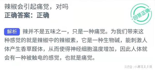 蚂蚁新村今日答案最新解析与正确答案探讨蚂蚁新村今日答题正确答案是什么{