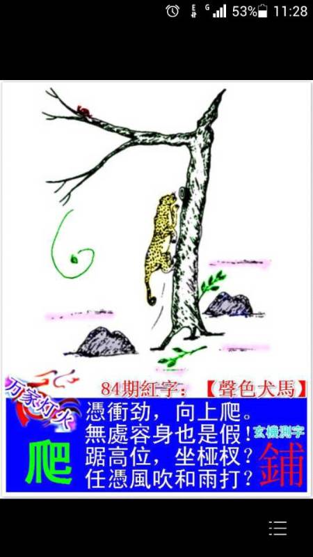 揭秘正确答案，何为生肖动物之象征—探寻答案背后的深层含义正确答案是什么生肖动物{
