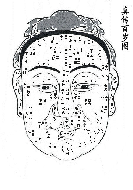 麻衣神相全文免费阅读，古老的智慧与人生启示麻衣神相免费阅读全文最新章节{