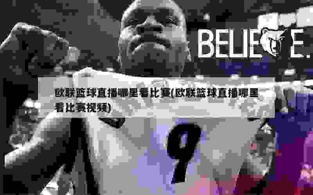 欧篮联直播比分，实时动态与球迷热情欧蓝联比赛直播{