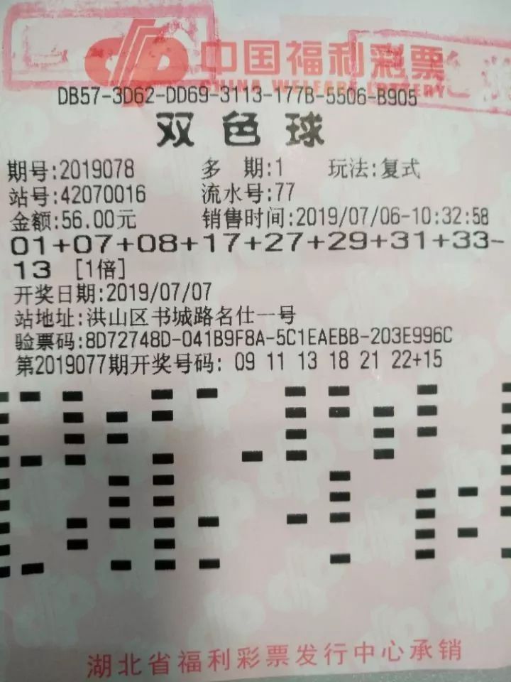 乐彩网双色球统计表，揭示彩票背后的数据与策略乐彩网双色球统计表最新{